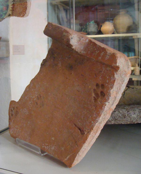 考古学家发现2000多年前的罗马瓦片上竟然就有贱猫留下的爪印